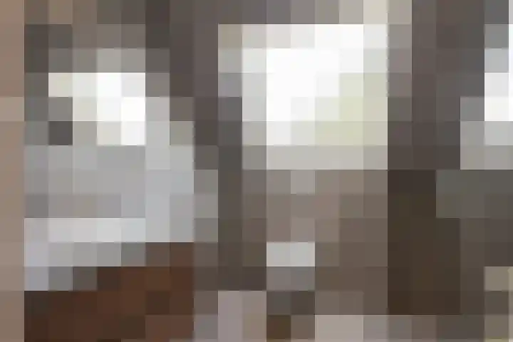Malzwin 1315 Julianadorp thumbnail 27