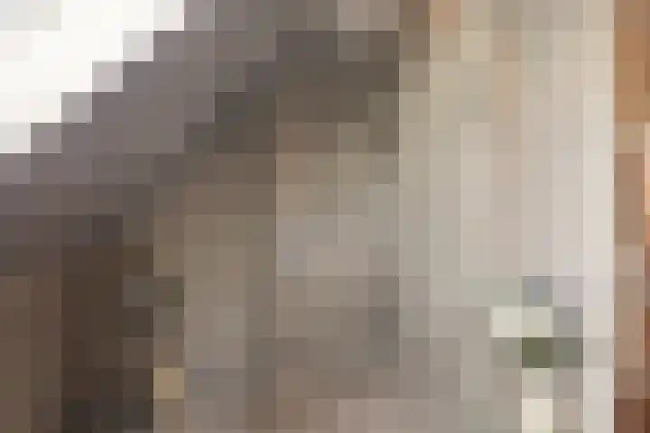 Malzwin 1315 Julianadorp thumbnail 28
