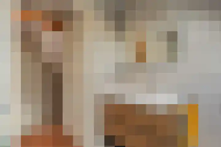 Malzwin 1315 Julianadorp thumbnail 29