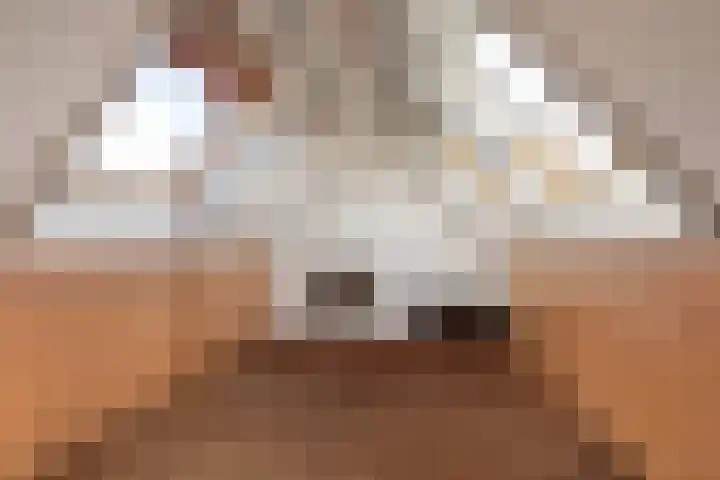 Malzwin 1315 Julianadorp thumbnail 30