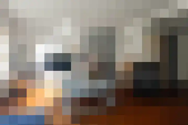 Malzwin 1315 Julianadorp thumbnail 7