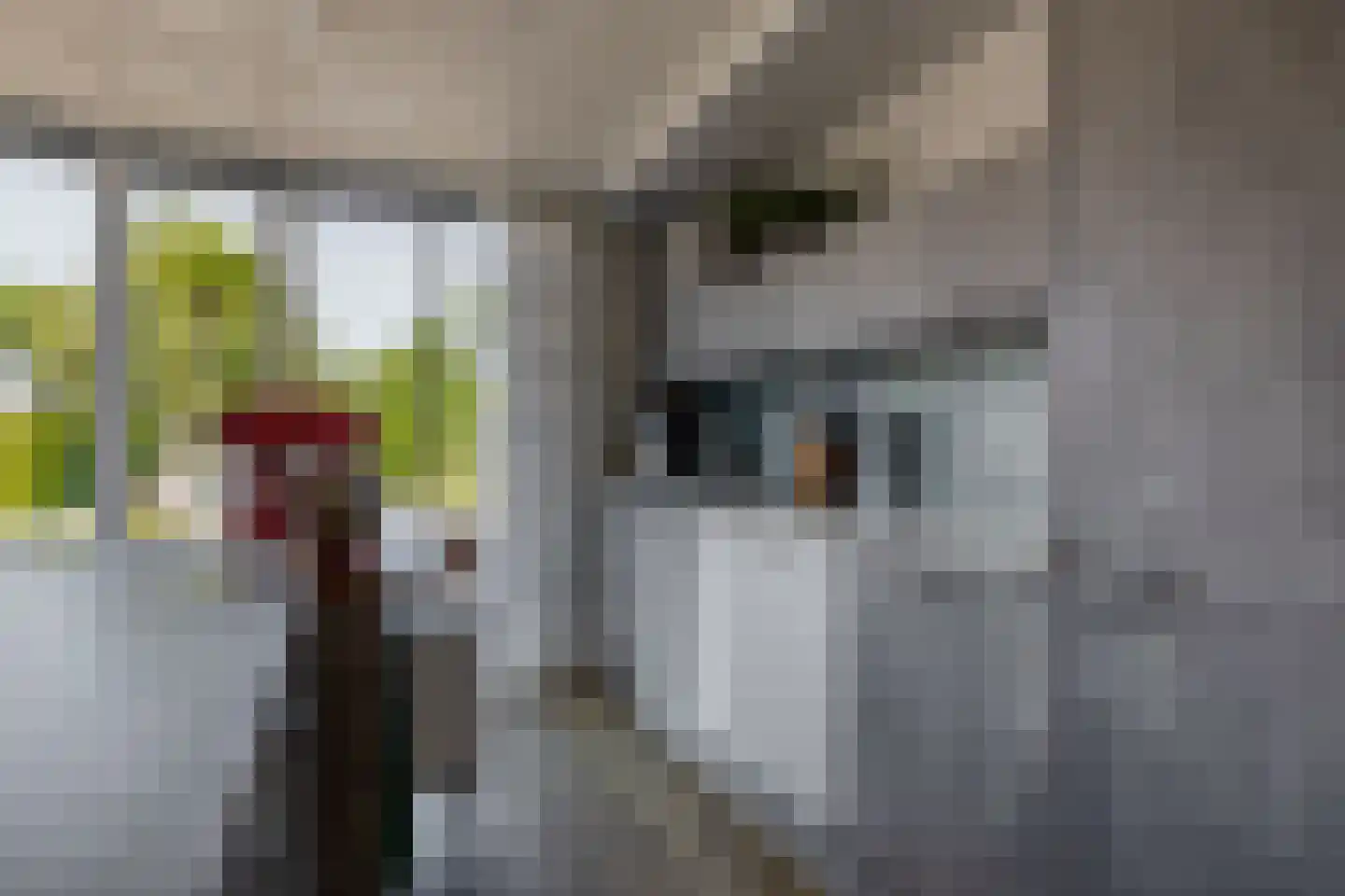 Malzwin 1418 Julianadorp thumbnail 15