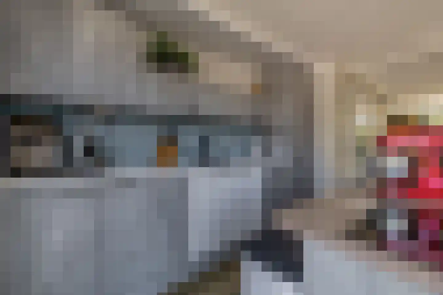 Malzwin 1418 Julianadorp thumbnail 17