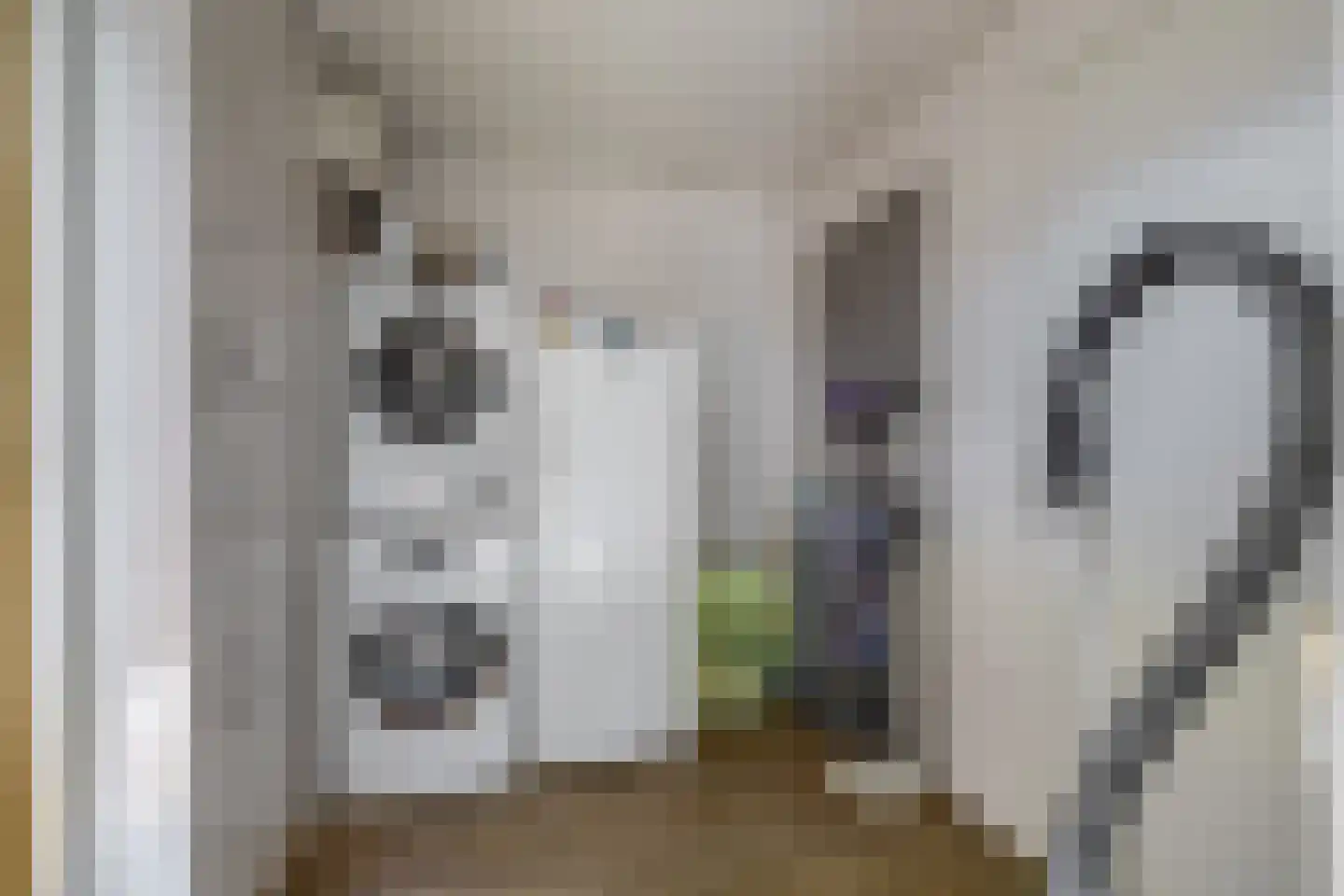 Malzwin 1418 Julianadorp thumbnail 19