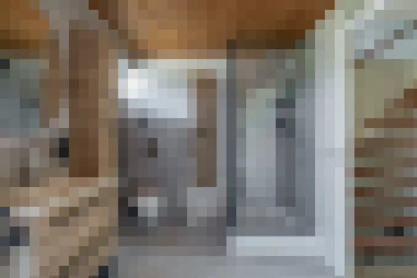 Malzwin 1418 Julianadorp thumbnail 31