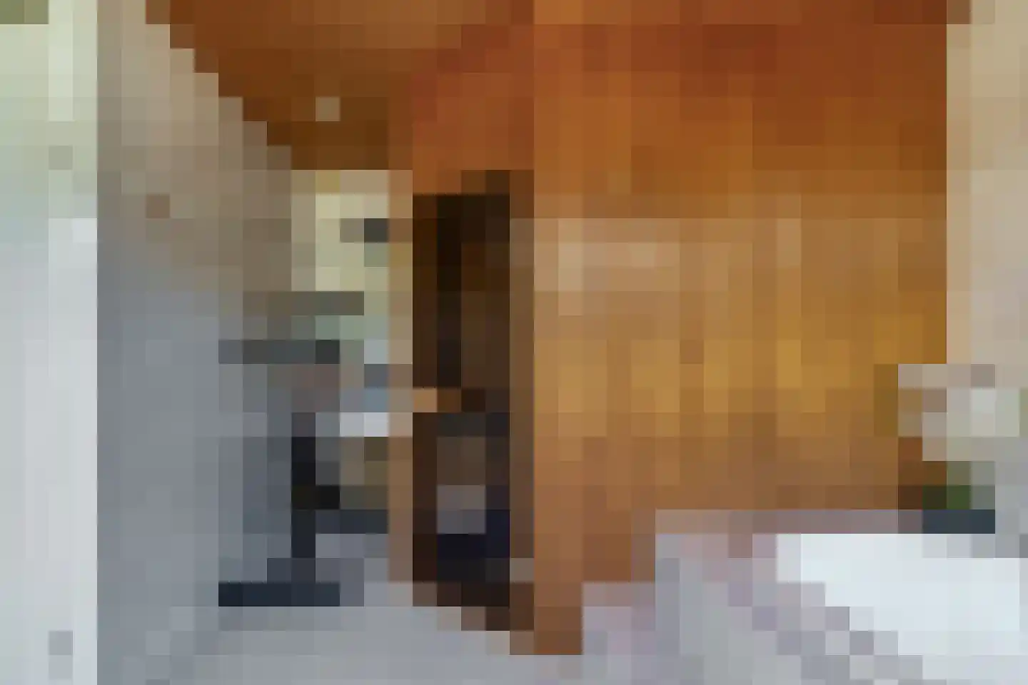 Malzwin 1418 Julianadorp thumbnail 35