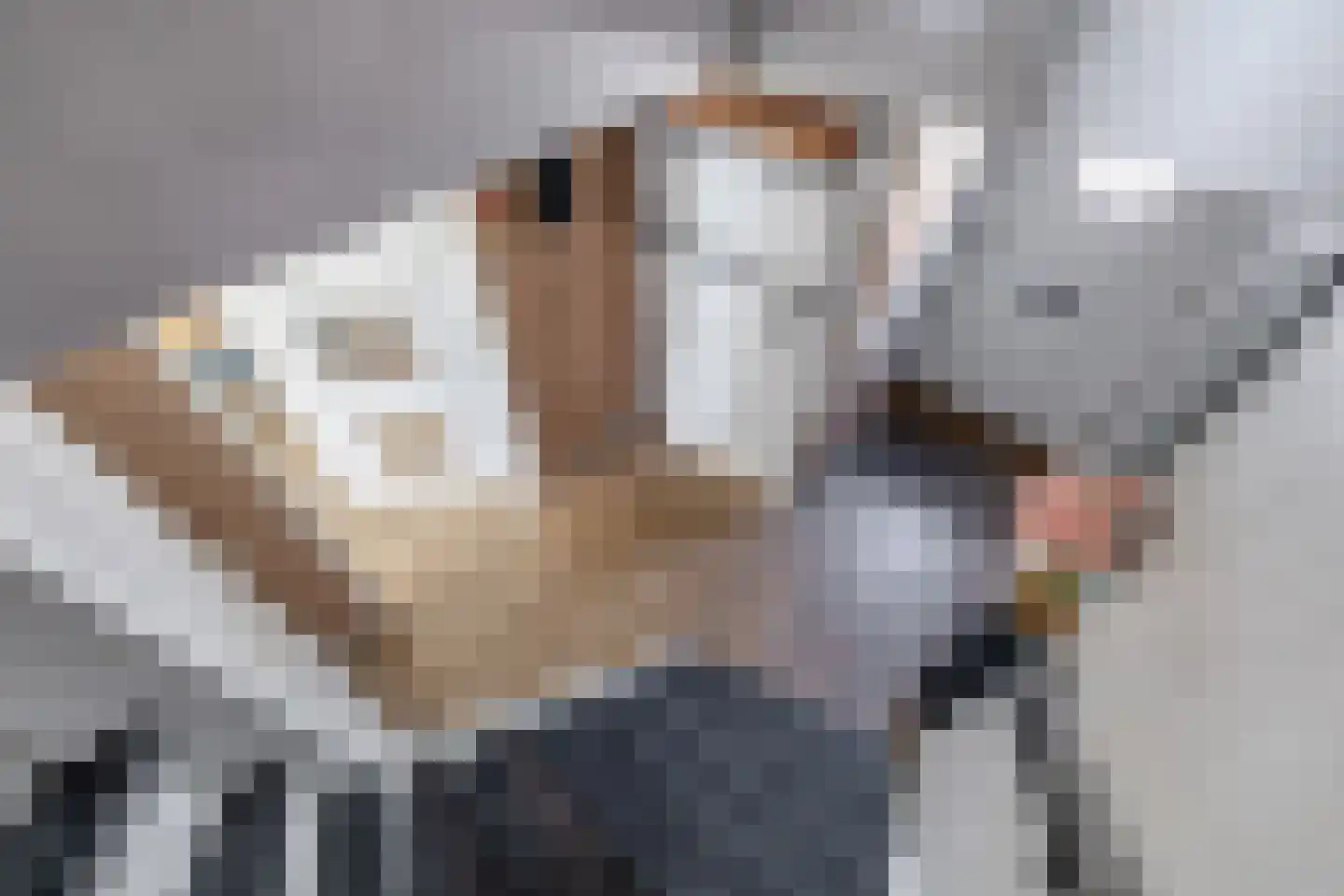 Malzwin 1418 Julianadorp thumbnail 7