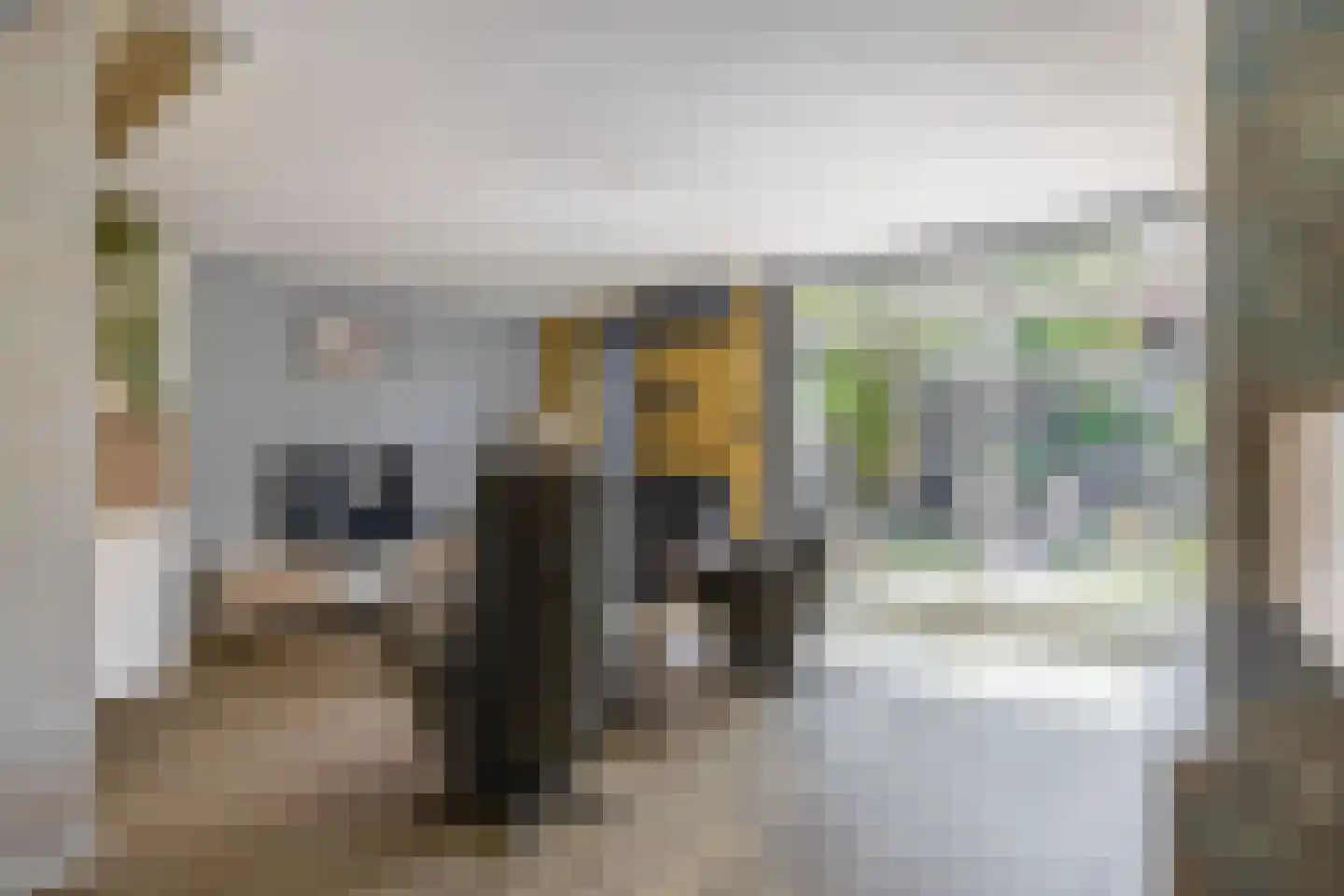 Malzwin 1418 Julianadorp thumbnail 9