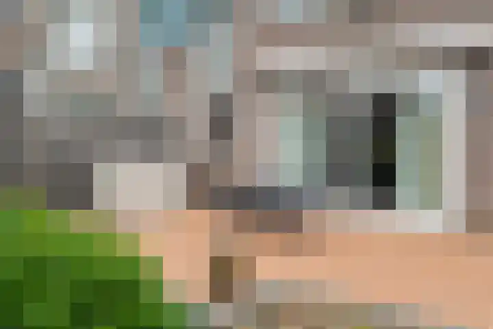 Malzwin 1421 Julianadorp thumbnail 14