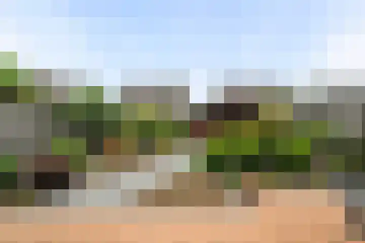Malzwin 1421 Julianadorp thumbnail 16