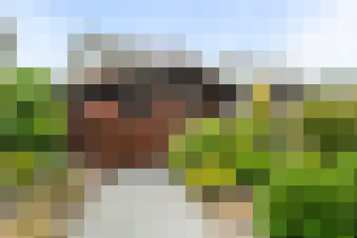 Malzwin 1421 Julianadorp thumbnail 17