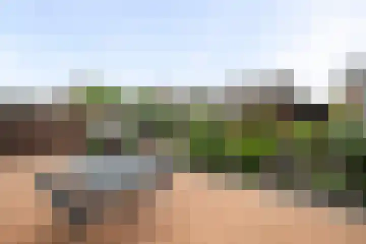 Malzwin 1421 Julianadorp thumbnail 18