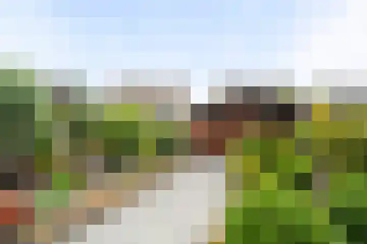 Malzwin 1421 Julianadorp thumbnail 19