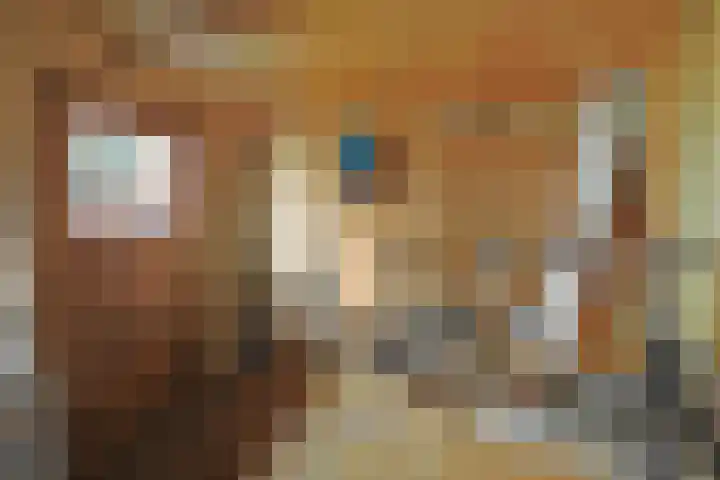 Malzwin 1421 Julianadorp thumbnail 20