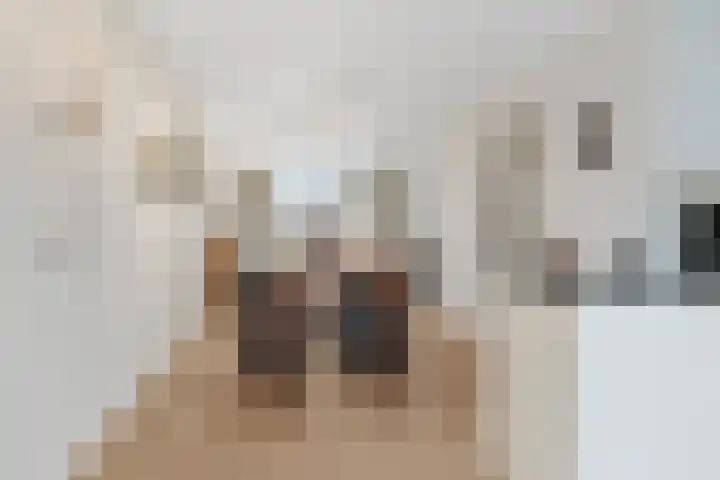 Malzwin 1421 Julianadorp thumbnail 6