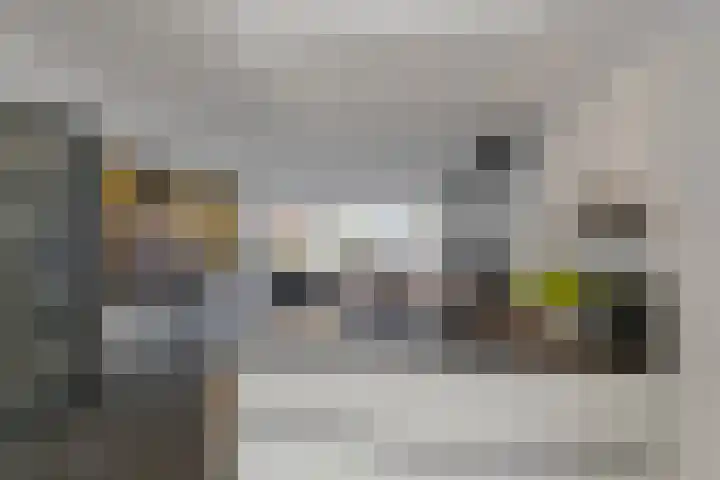 Malzwin 1443 Julianadorp thumbnail 11