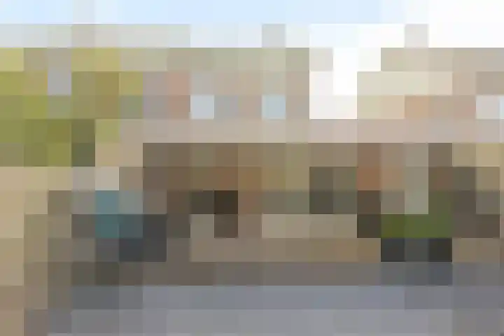 Malzwin 1443 Julianadorp thumbnail 15