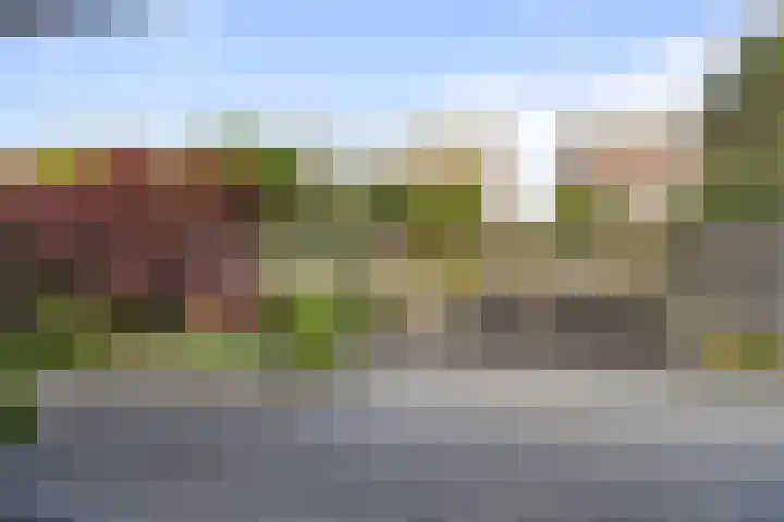 Malzwin 1443 Julianadorp thumbnail 16