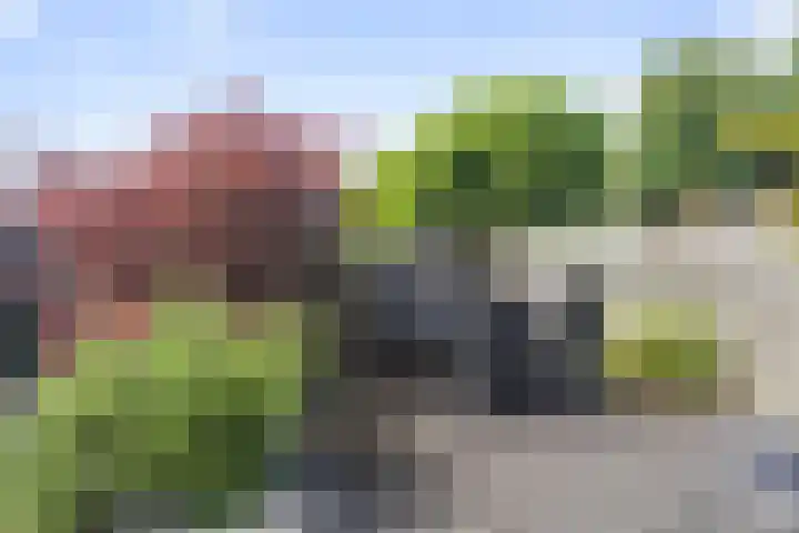 Malzwin 1443 Julianadorp thumbnail 17