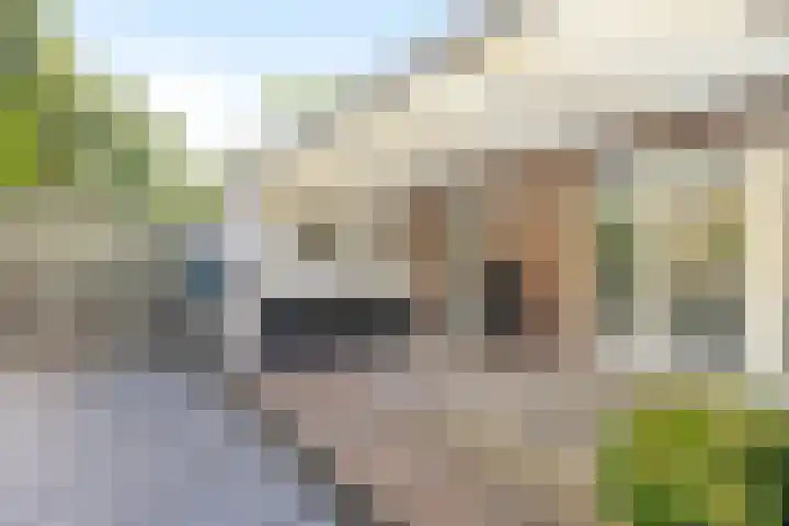 Malzwin 1443 Julianadorp thumbnail 18