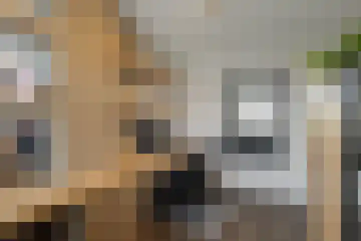 Malzwin 1443 Julianadorp thumbnail 26