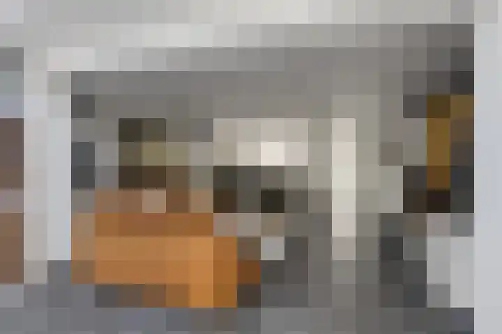 Malzwin 1443 Julianadorp thumbnail 7