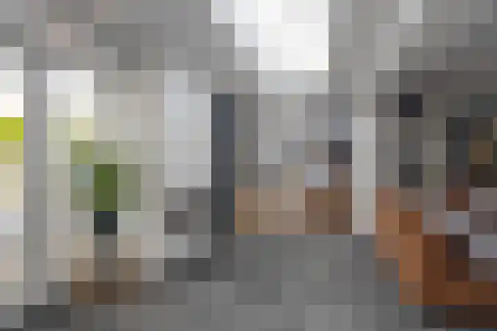 Malzwin 1443 Julianadorp thumbnail 9