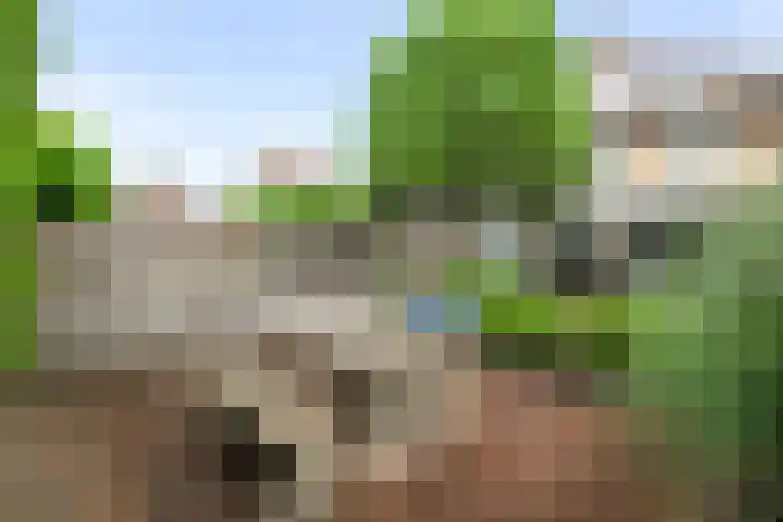 Malzwin 1613 Julianadorp thumbnail 17
