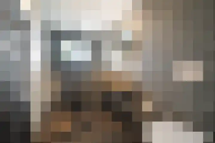 Malzwin 1613 Julianadorp thumbnail 27