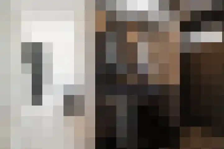 Malzwin 2104 Julianadorp thumbnail 12