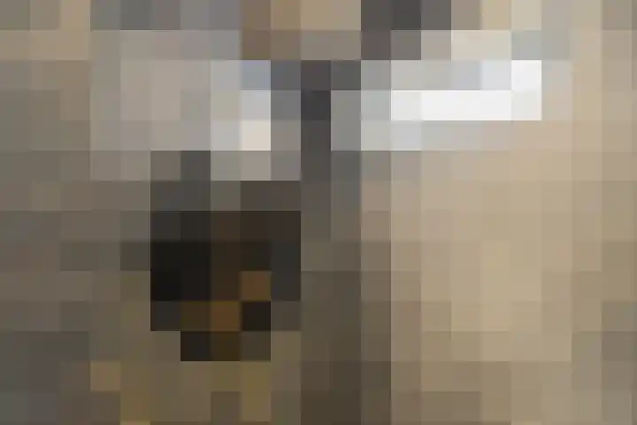 Malzwin 2104 Julianadorp thumbnail 15