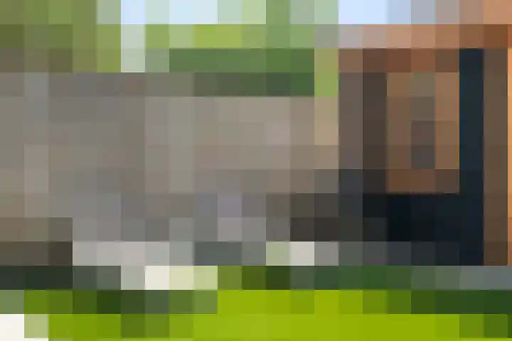 Malzwin 2104 Julianadorp thumbnail 18