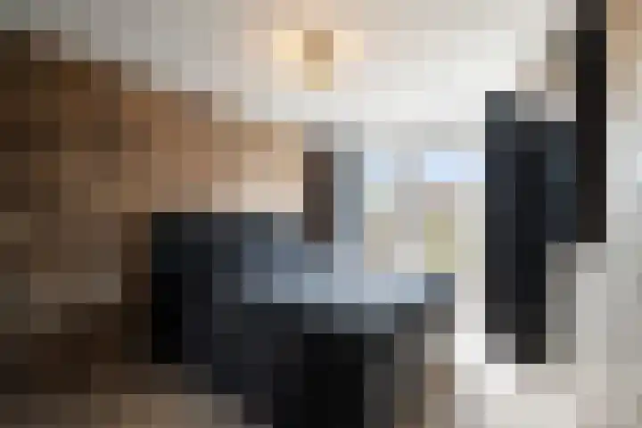 Malzwin 2104 Julianadorp thumbnail 23