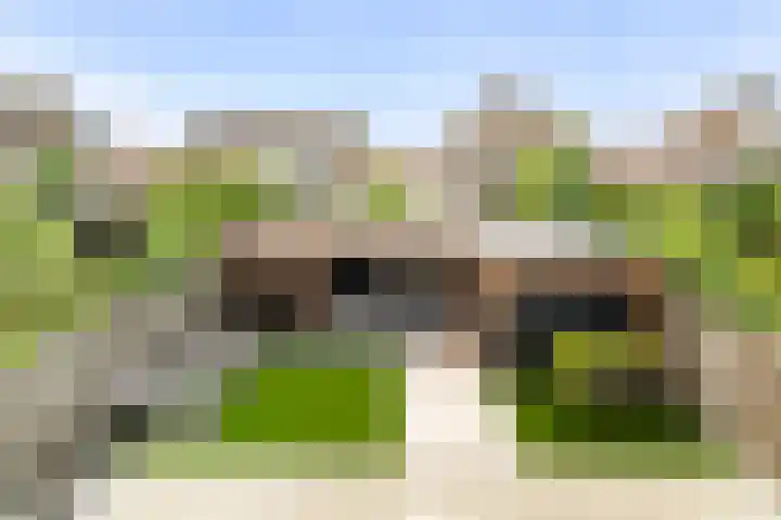 Malzwin 2104 Julianadorp thumbnail 24