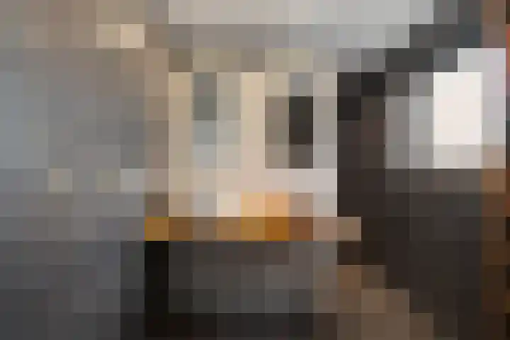 Malzwin 2104 Julianadorp thumbnail 25