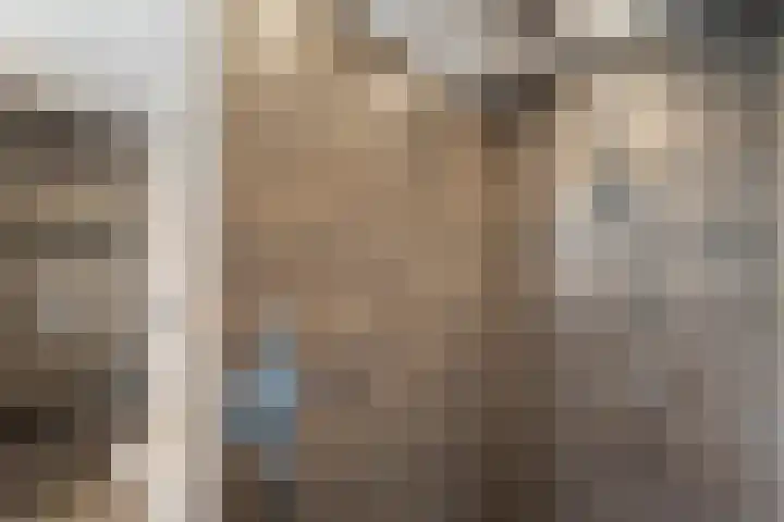 Malzwin 2104 Julianadorp thumbnail 26