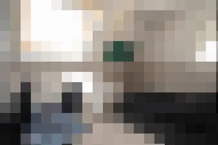 Malzwin 2104 Julianadorp thumbnail 33