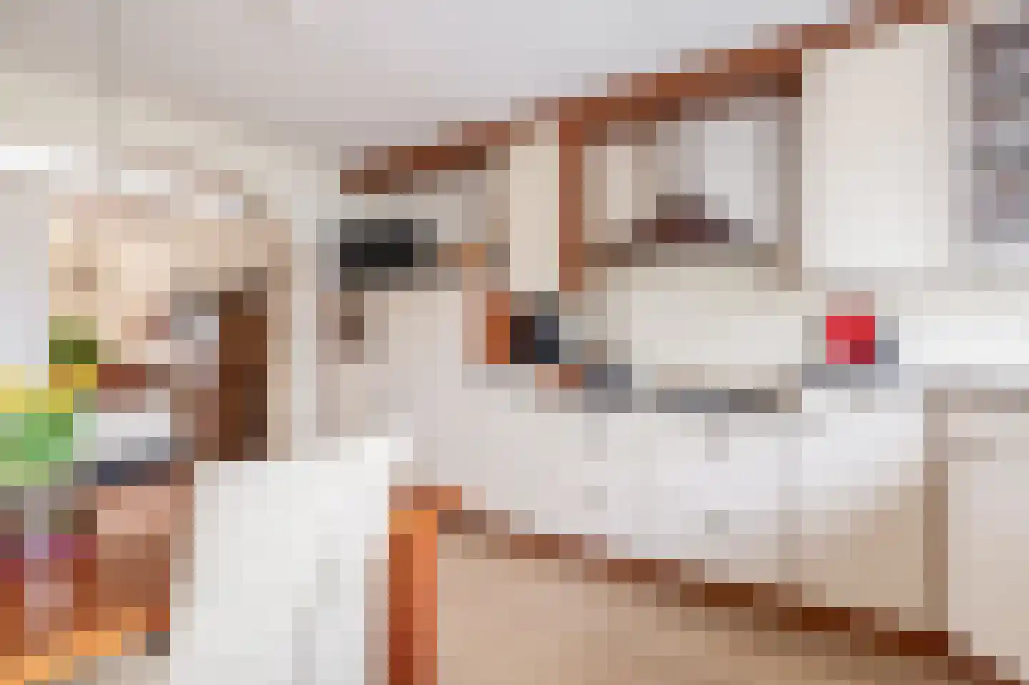Malzwin 2119 Julianadorp thumbnail 8