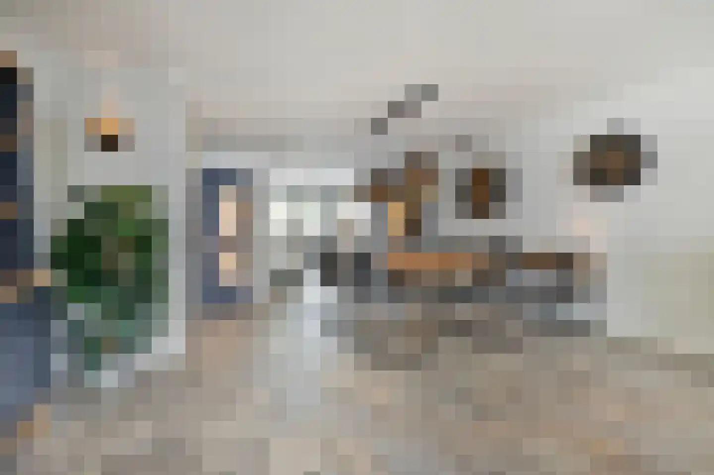 Malzwin 2130 Julianadorp thumbnail 11