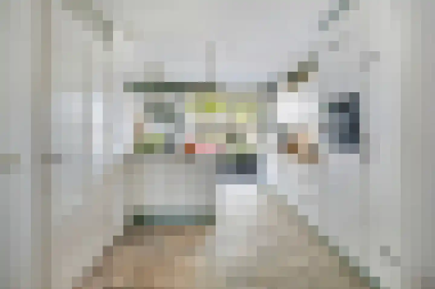 Malzwin 2130 Julianadorp thumbnail 15