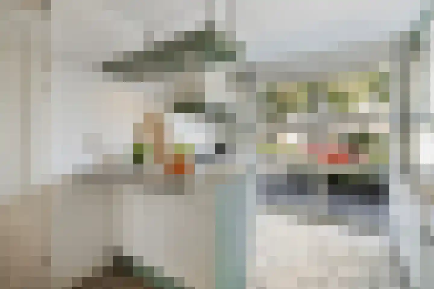 Malzwin 2130 Julianadorp thumbnail 16