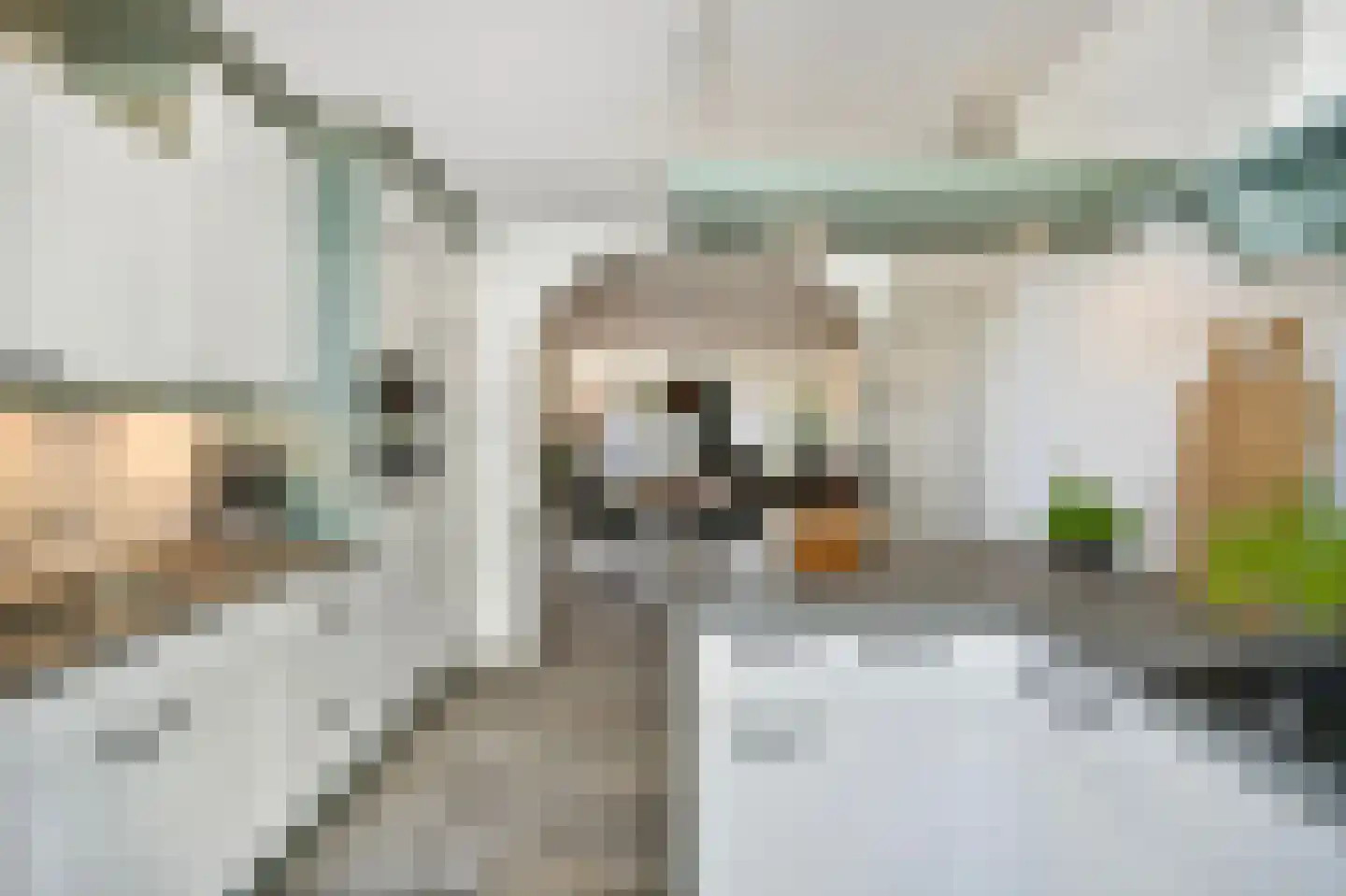 Malzwin 2130 Julianadorp thumbnail 17