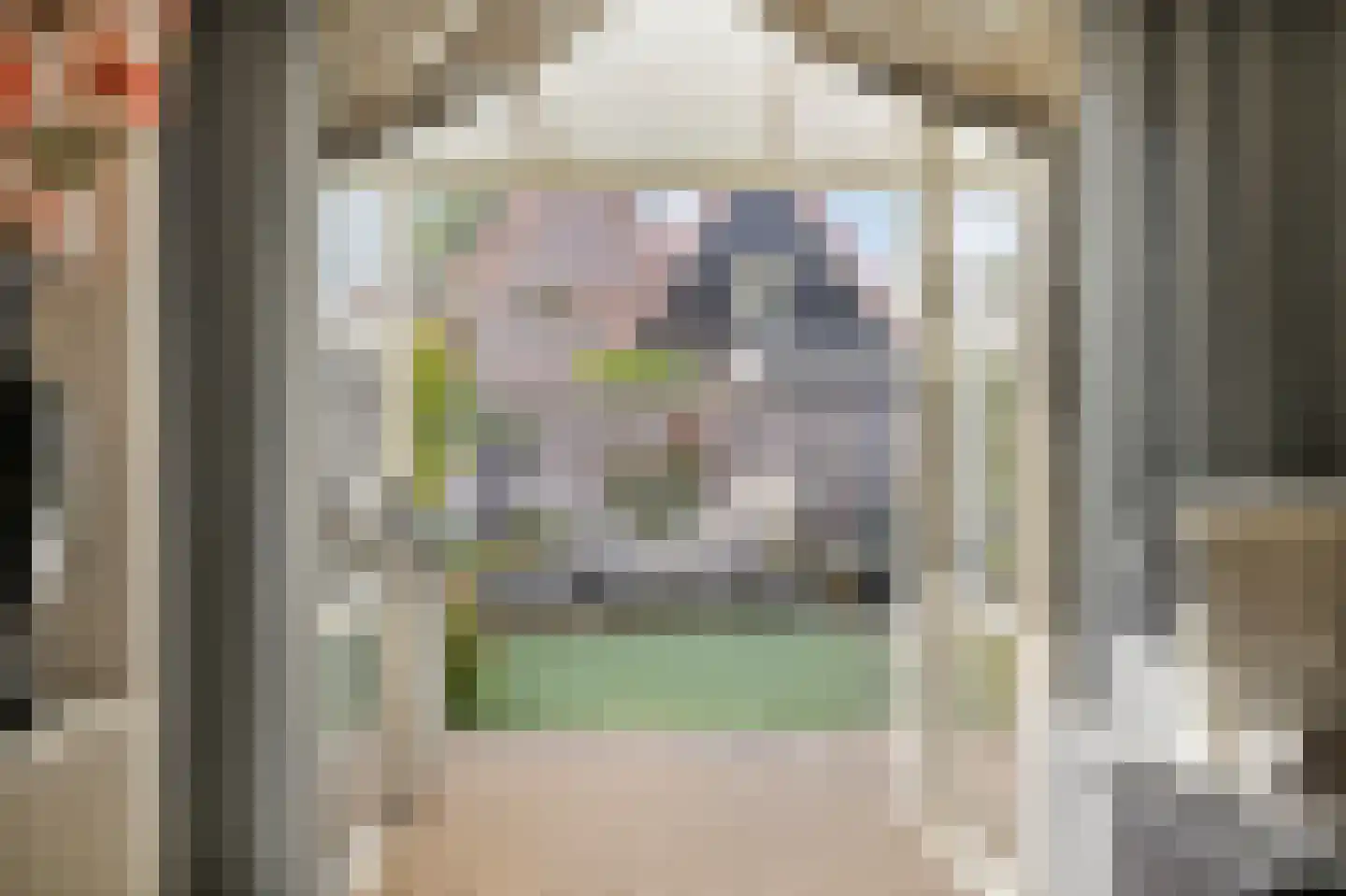 Malzwin 2130 Julianadorp thumbnail 18