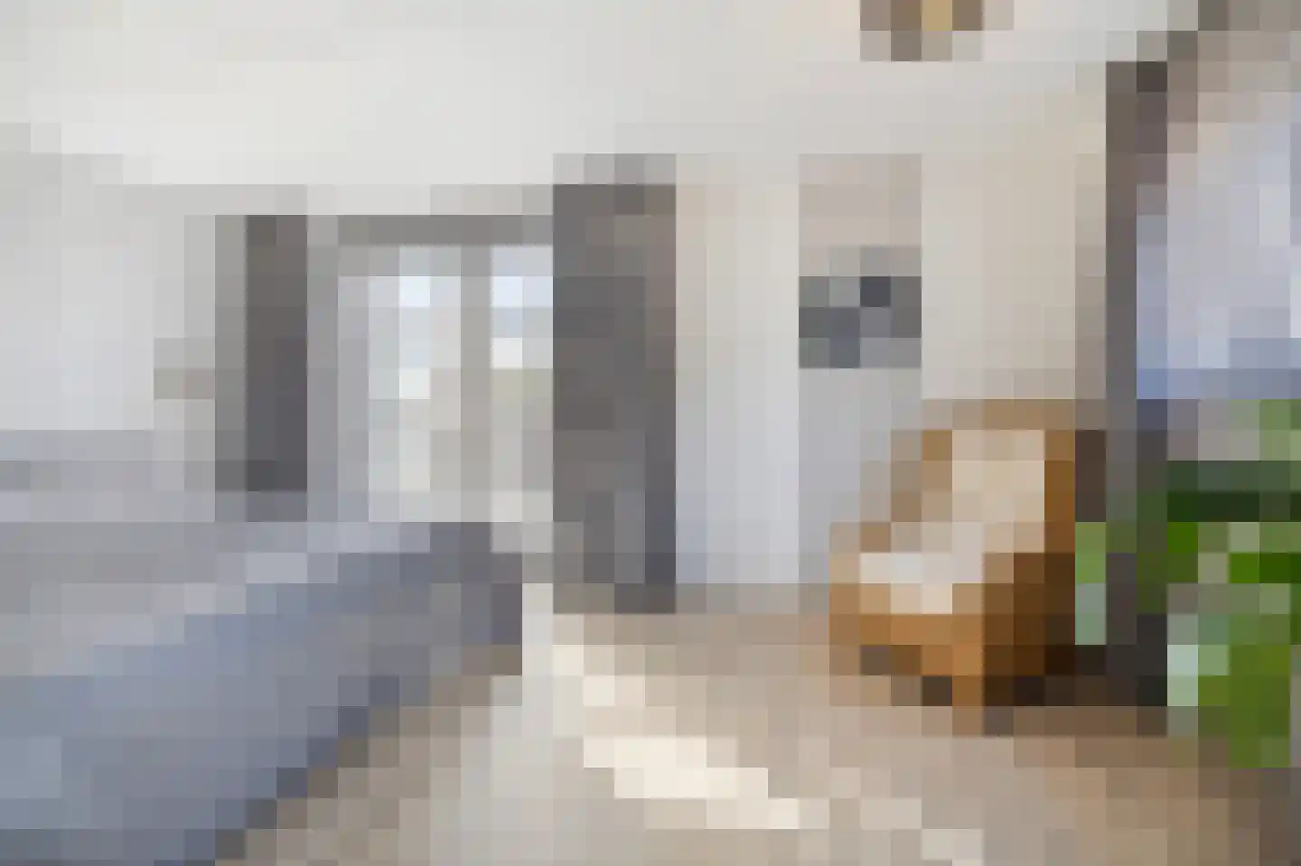 Malzwin 2130 Julianadorp thumbnail 20