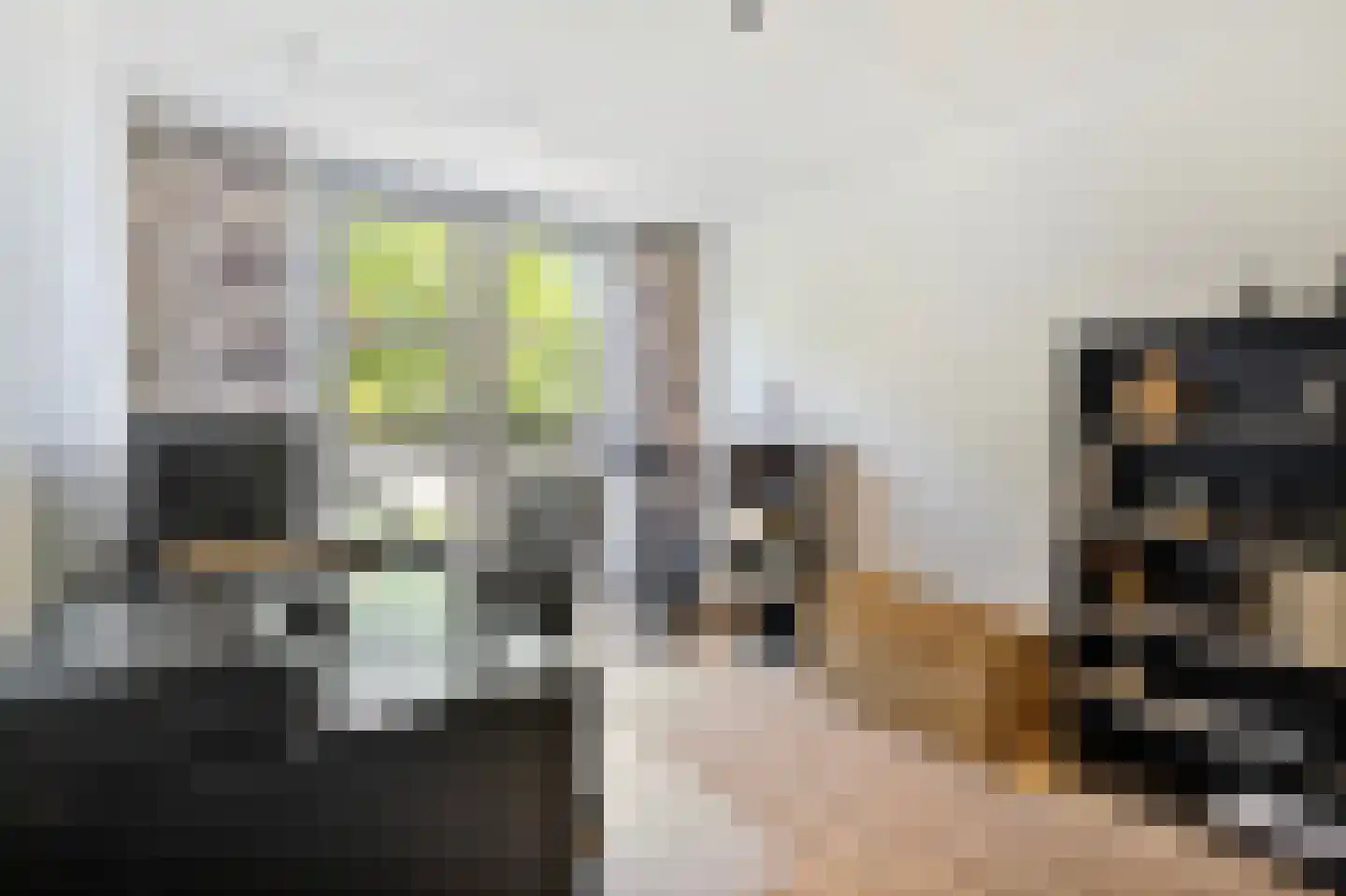 Malzwin 2130 Julianadorp thumbnail 22