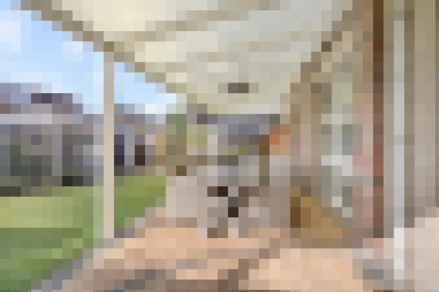 Malzwin 2130 Julianadorp thumbnail 33