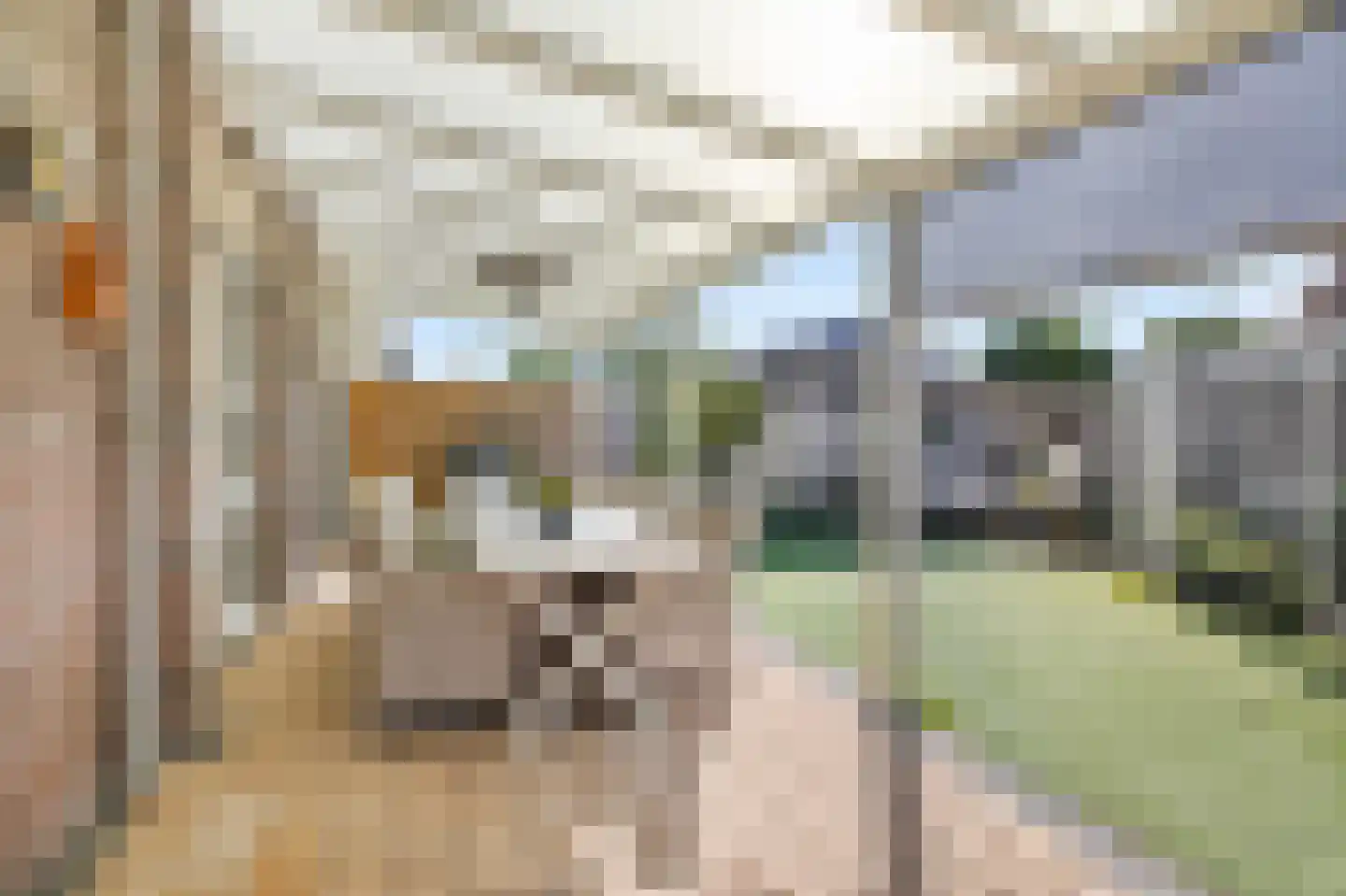 Malzwin 2130 Julianadorp thumbnail 8
