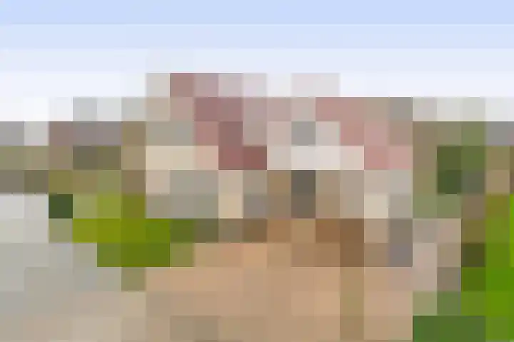 Malzwin 2305 in Julianadorp