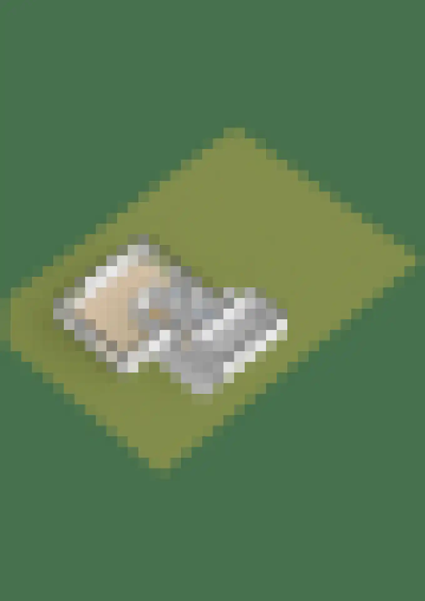 Malzwin 2305 Julianadorp thumbnail 40