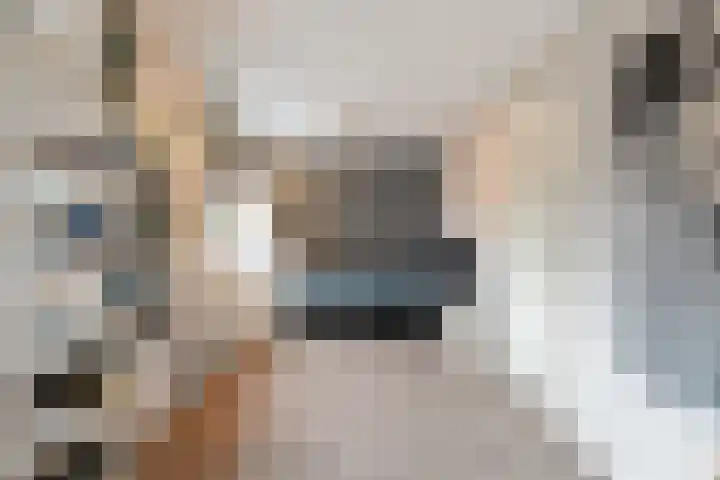 Malzwin 2431 Julianadorp thumbnail 17